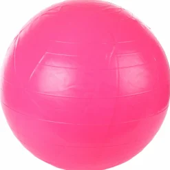 Accessoires De Sport|MOOVE AND FIT Ballon de fitness 65 cm