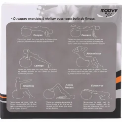 Accessoires De Sport|MOOVE AND FIT Ballon de fitness 65 cm